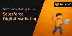 Salesforce Digital Marketing Course: Understand All the Details